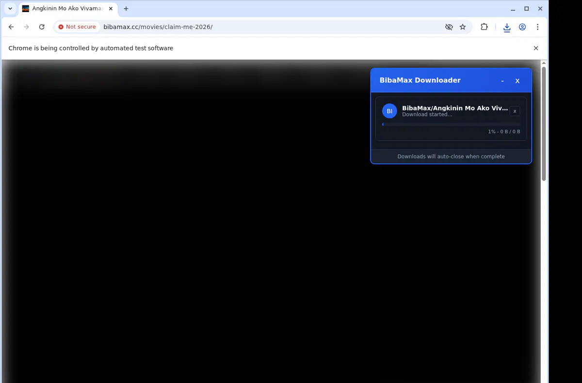Bibamax Video Downloader screenshot 2