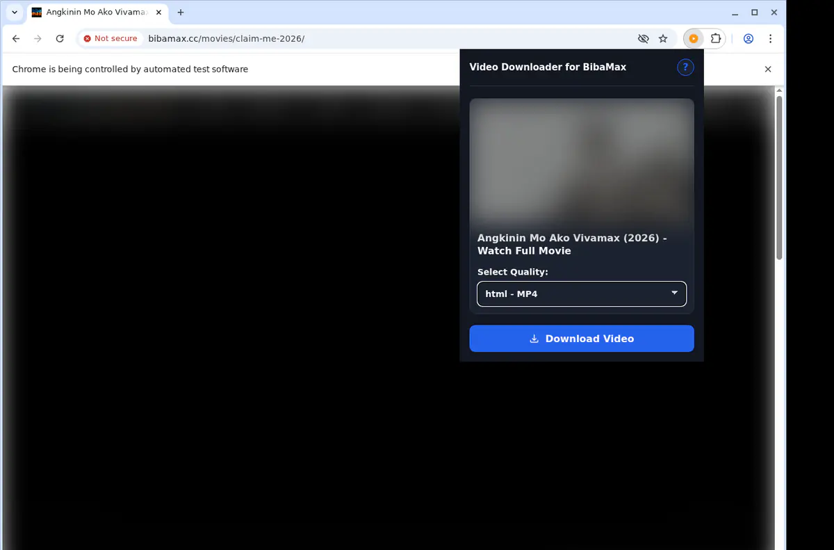 Bibamax Video Downloader screenshot 3