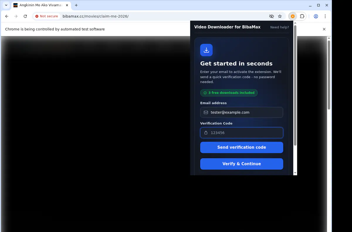 Bibamax Video Downloader screenshot 4
