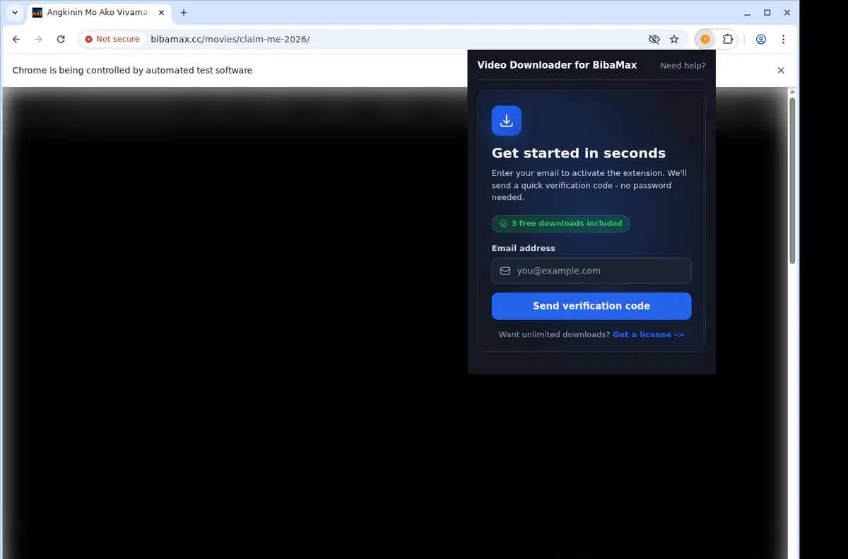 Bibamax Video Downloader screenshot 5
